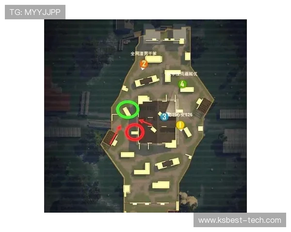 和平精英战术解析：深入剖析RNG战队的进攻策略与表现